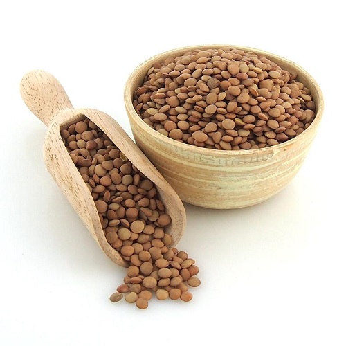 Brown Lentil