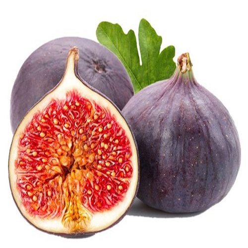 Fig