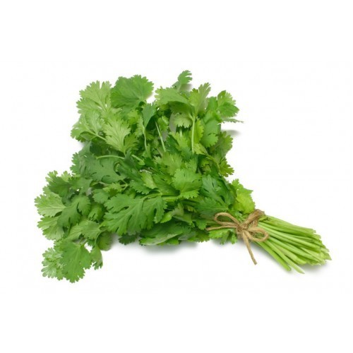 Coriander