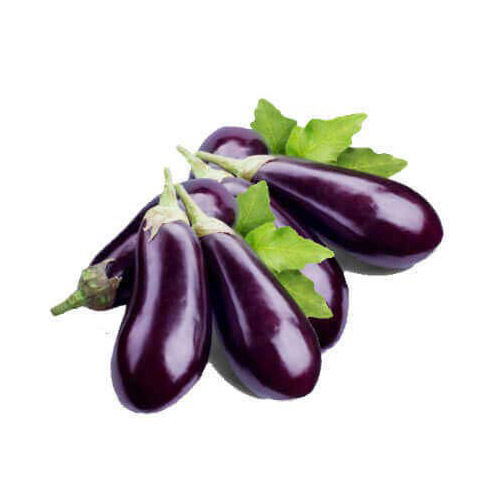 Brinjal