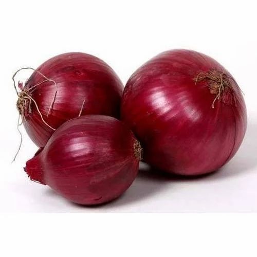 Onion